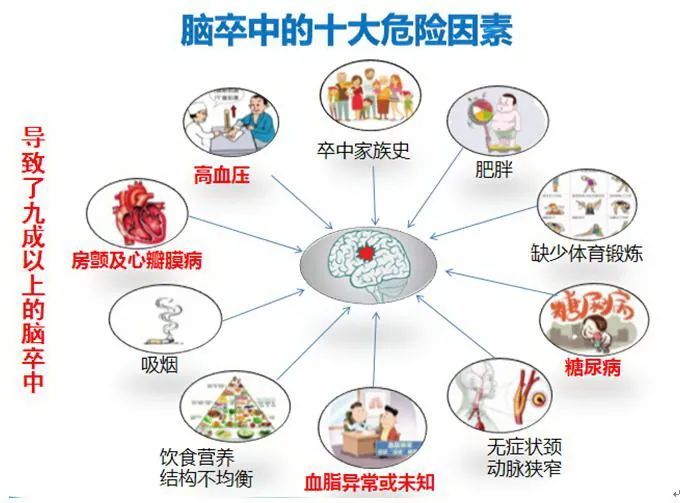 中风的十大危险因素