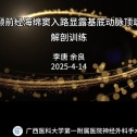 颞前经海绵窦入路显露基底动脉顶端（解剖训练）