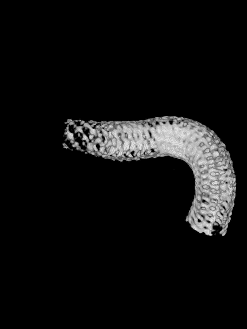 泥鳅导丝怎么用一招制敌_https://www.jmylbn.com_新闻资讯_第24张