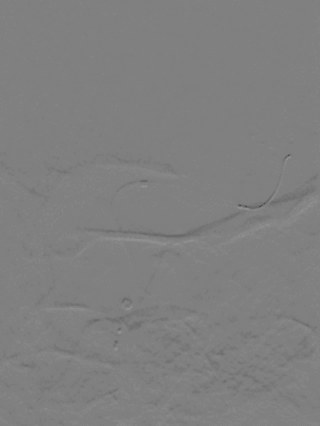 泥鳅导丝怎么用一招制敌_https://www.jmylbn.com_新闻资讯_第15张