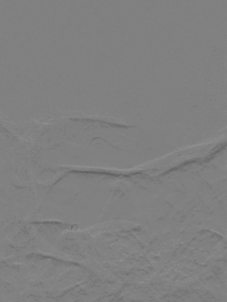 泥鳅导丝怎么用一招制敌_https://www.jmylbn.com_新闻资讯_第23张