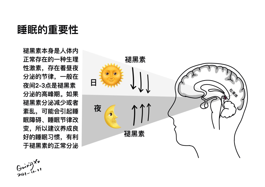 松果体的位置和作用 - 脑医汇
