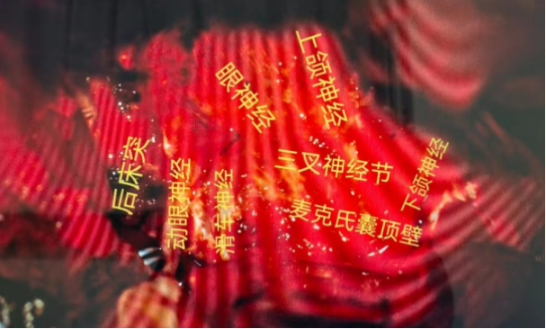 无效图片