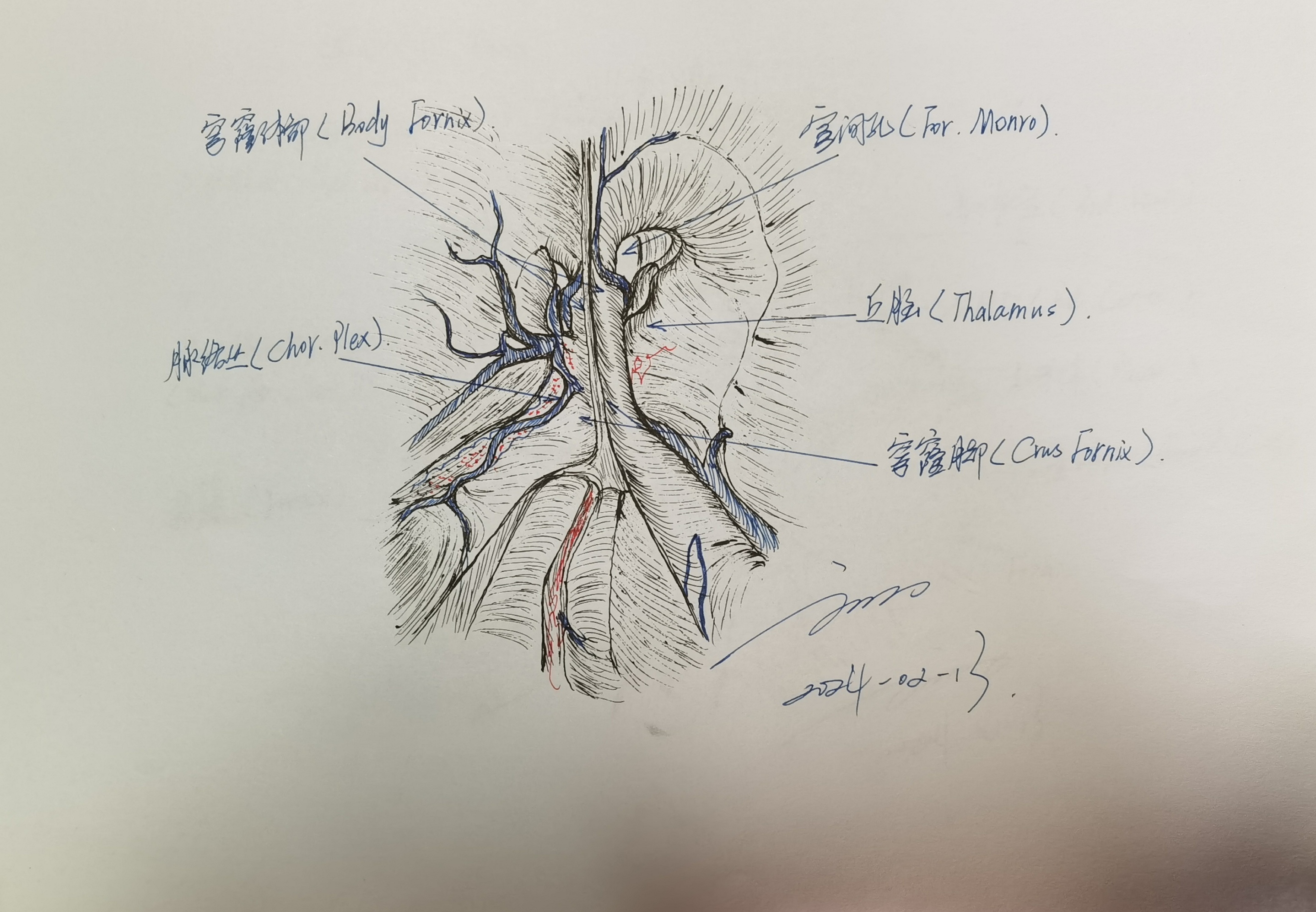无效图片