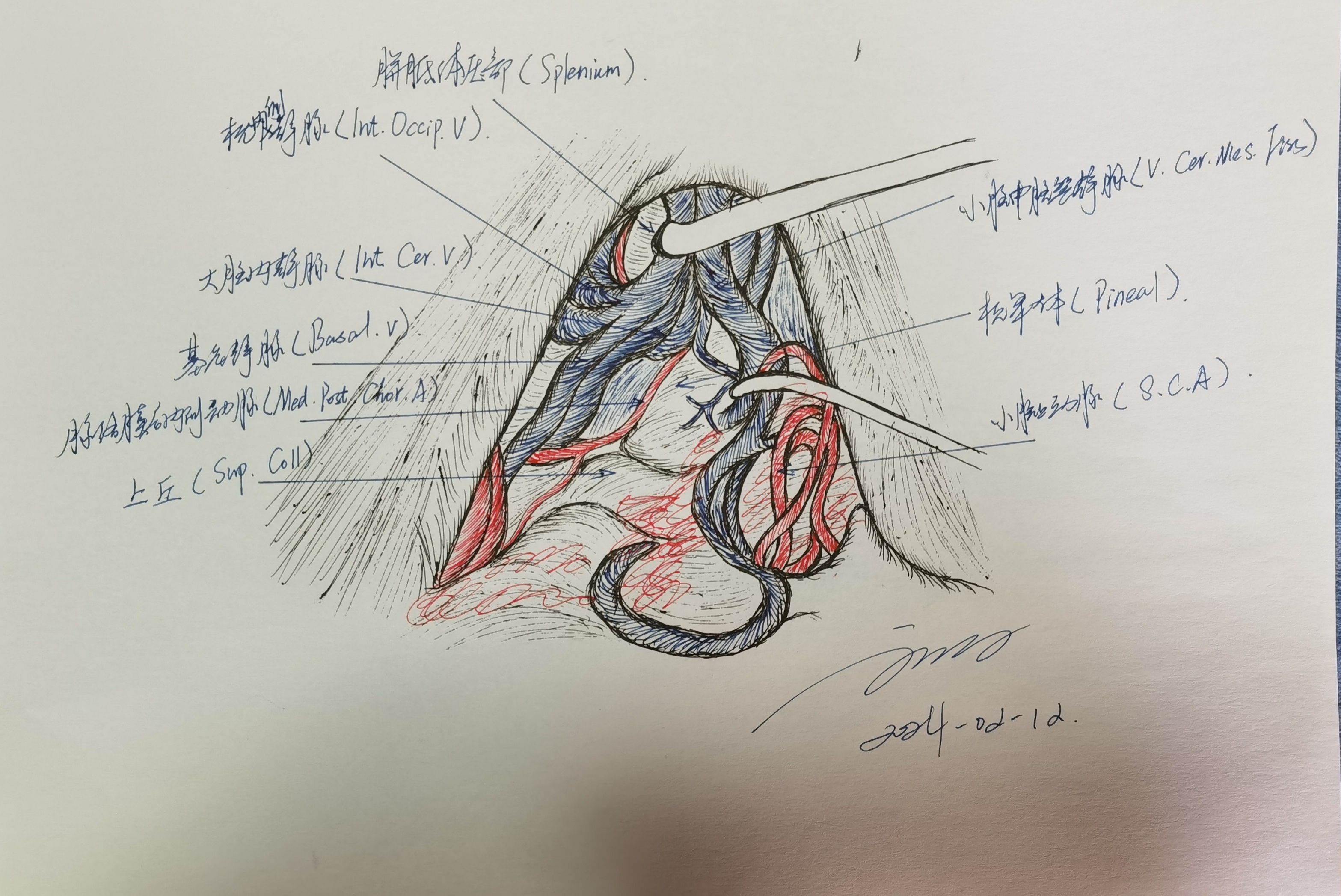 无效图片