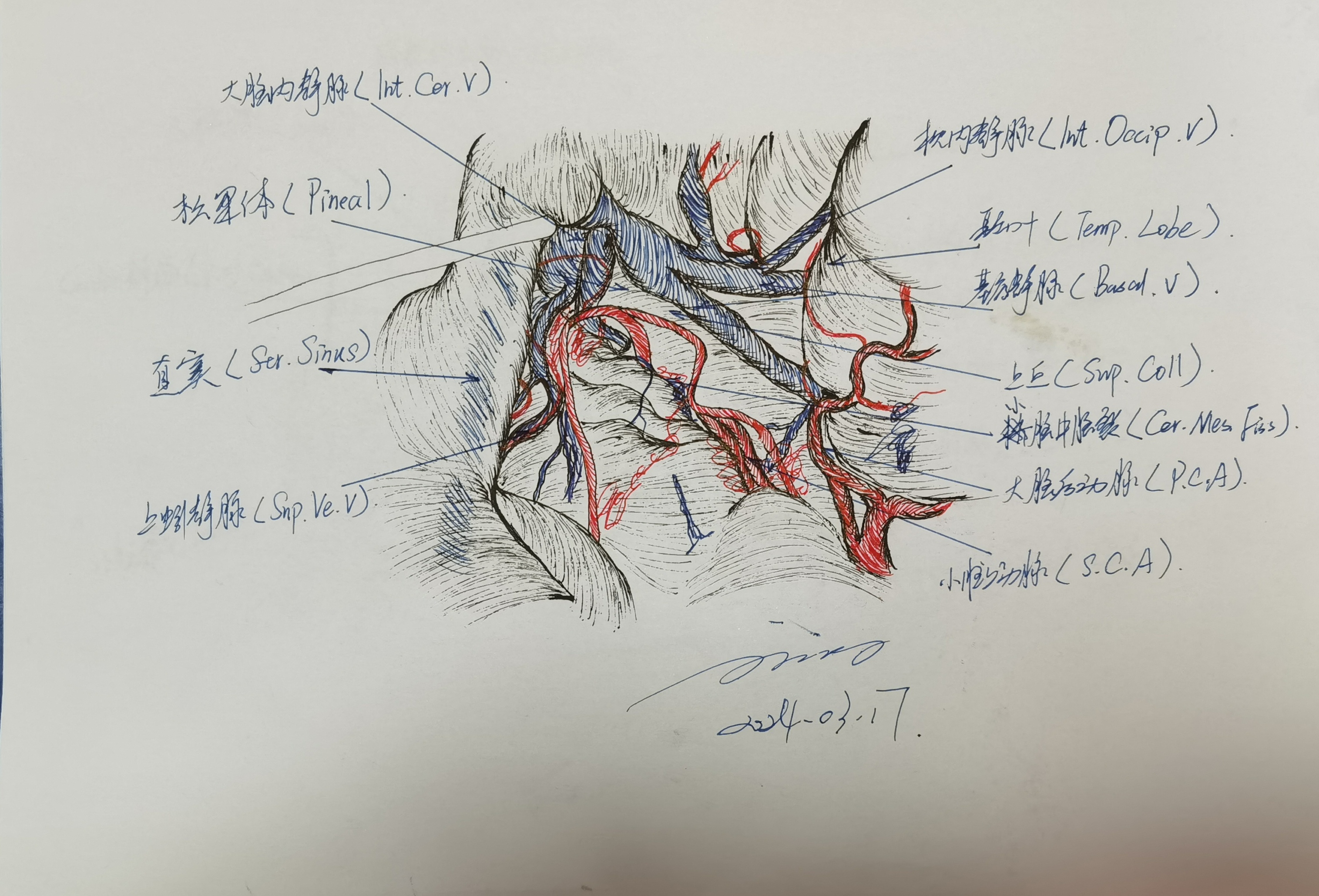 无效图片