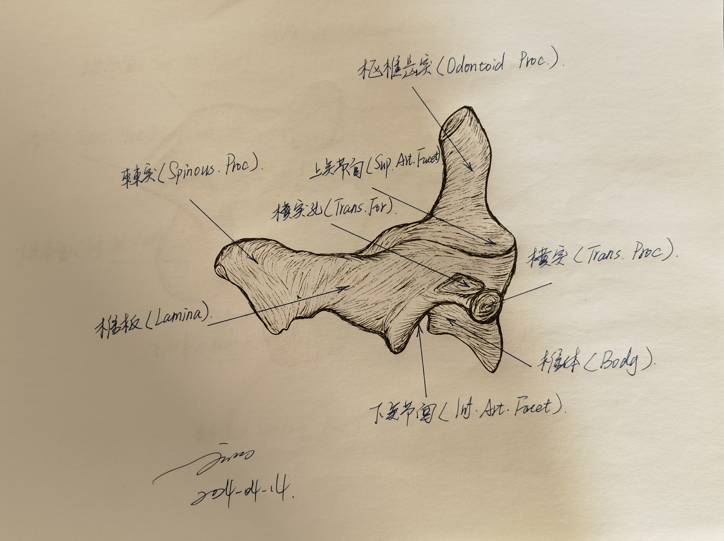 无效图片