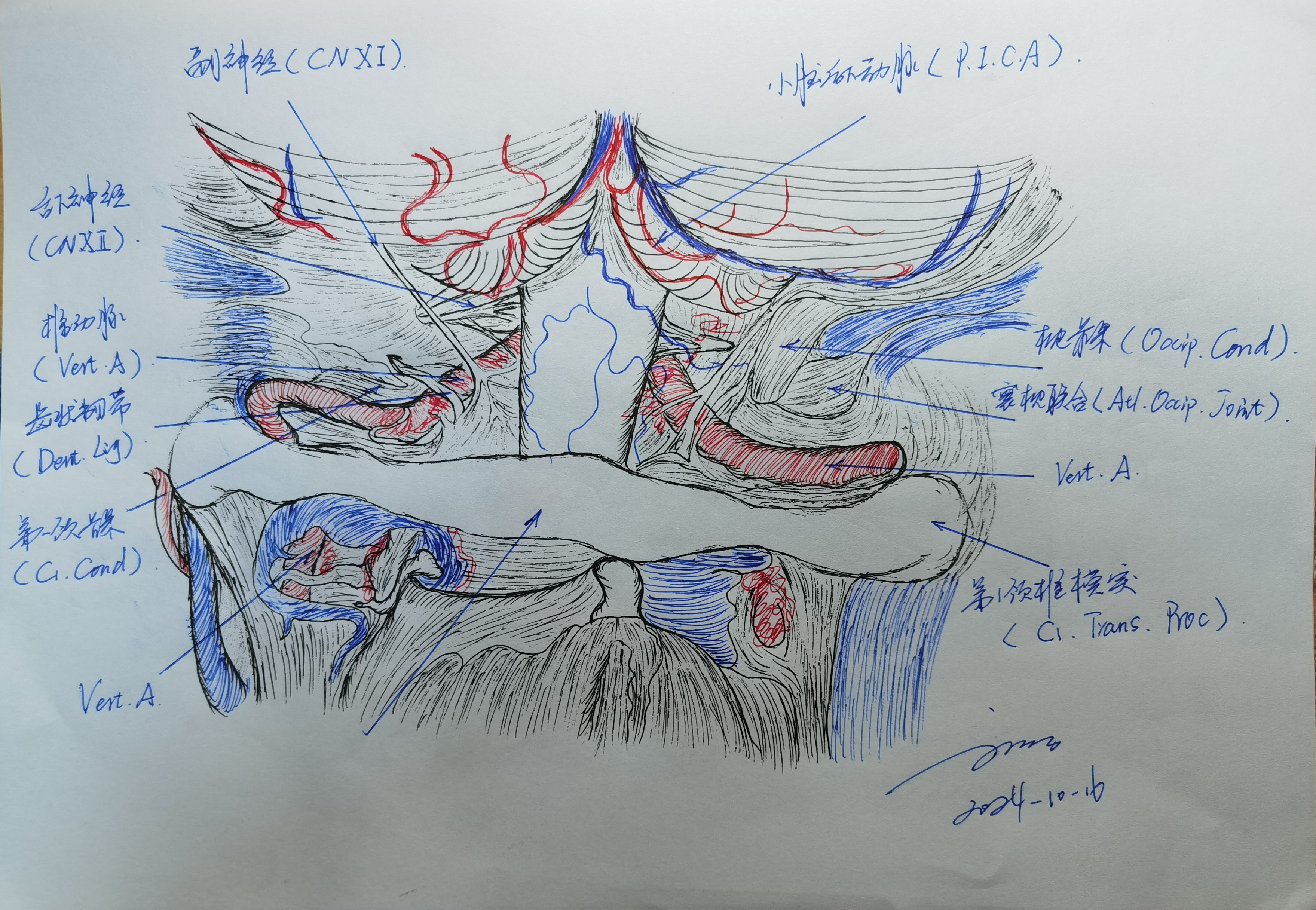 无效图片