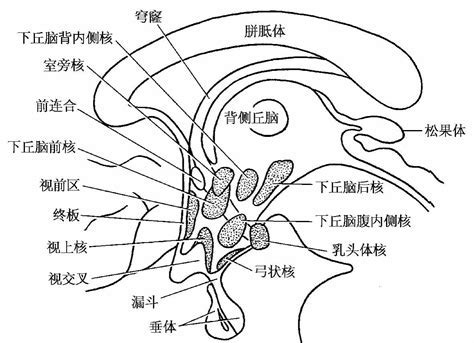 无效图片