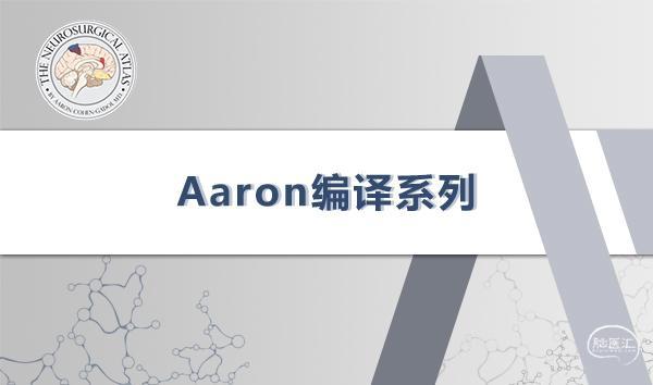 Aaron编译系列.jpg