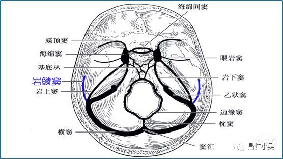 经颅窝池对照表图片