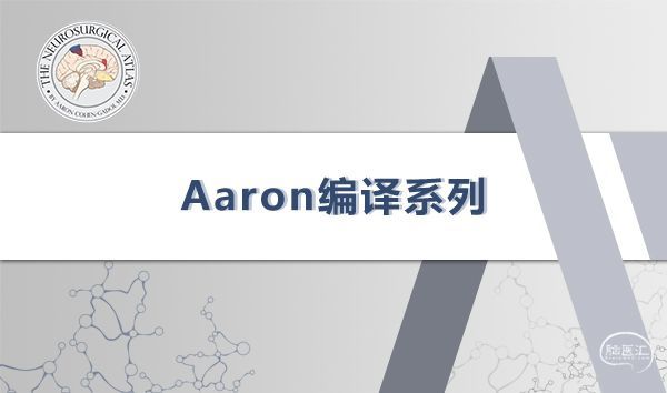 2 Aaron编译系列.jpg