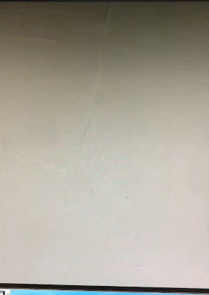 88.gif 88.gif