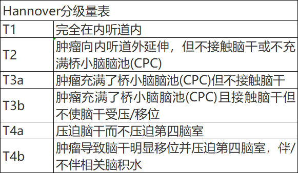 【文献快递】前庭神经鞘瘤的Hannover分级:可靠性研究 - 脑医汇