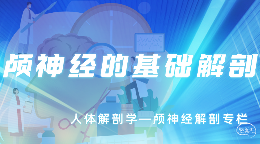 胡业帅.png