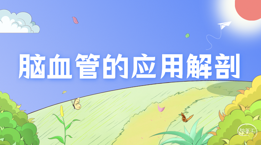应用解刨.png