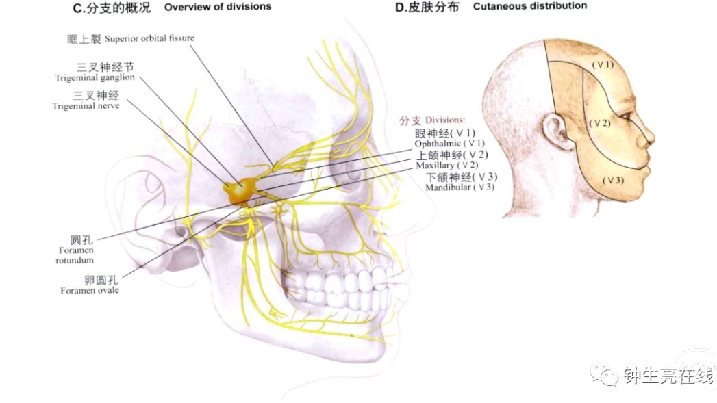 a5995a2ab12111c852fb02d92ffe8b92.png