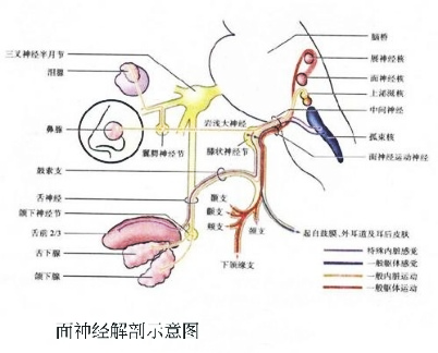 微信图片_20211213161731.jpg