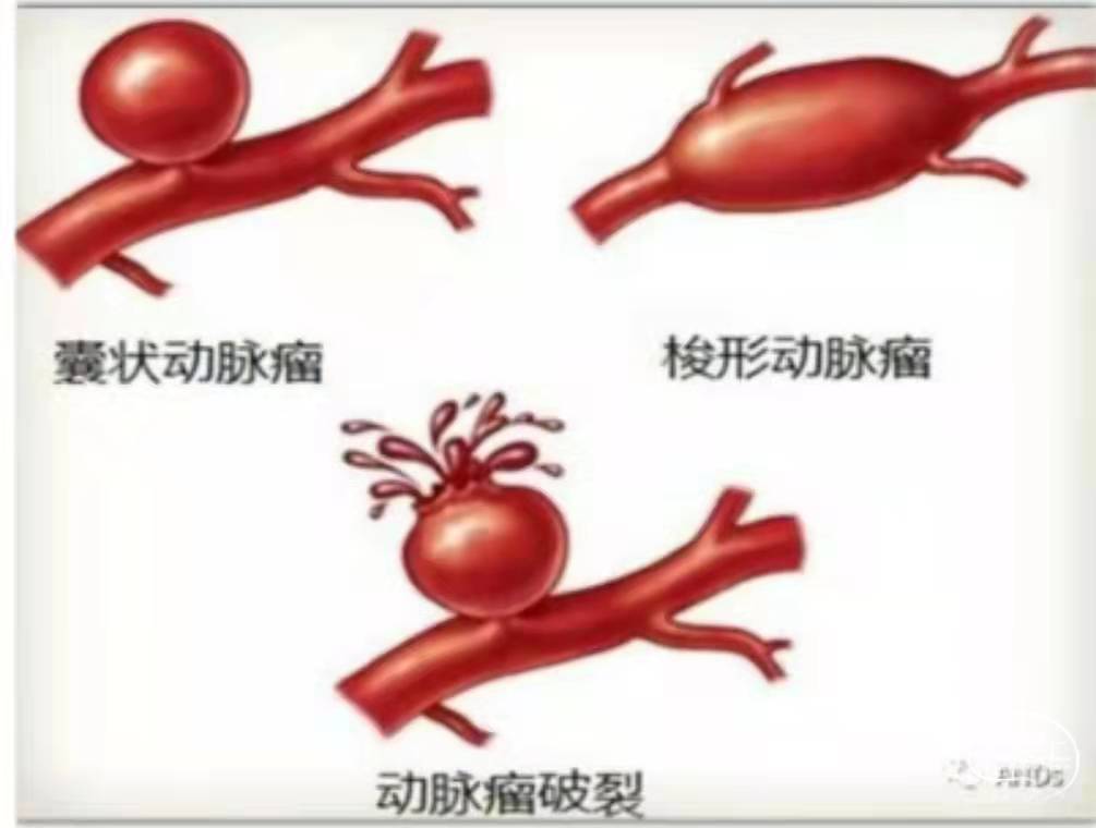 微信图片_20211217191314.jpg