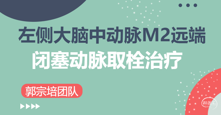 往期郭郭.png
