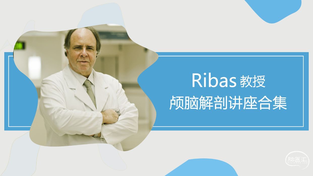 8【课程合集】Ribas颅脑解剖系列视频.jpg