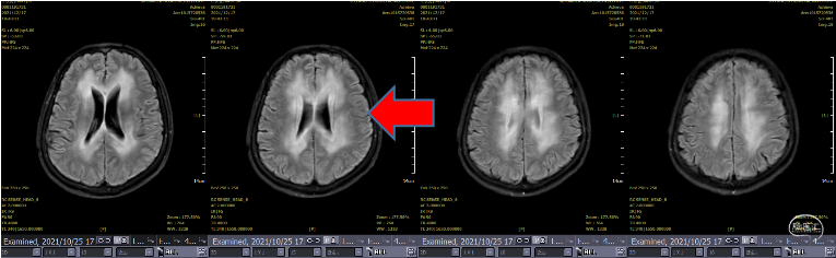 37859be8190e53c6afd9292d9905c5f.png