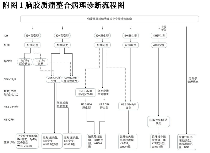 附图1.png