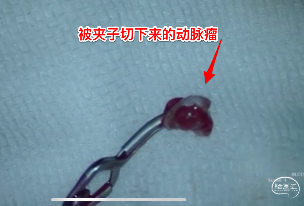 微信图片_20220520144549.png