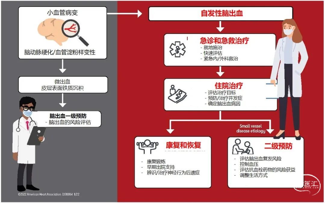 【指南解读】2022 AHA/ASA指南：自发性脑出血患者的管理（一、前言） - 脑医汇 - 神外资讯 - 神介资讯