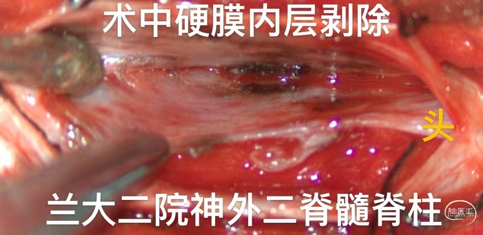 d7f8ede66f27f5aabda7c885f9553b55_.jpg
