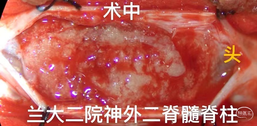 59a2618cadf81fd52115b1e30083d30e_.jpg
