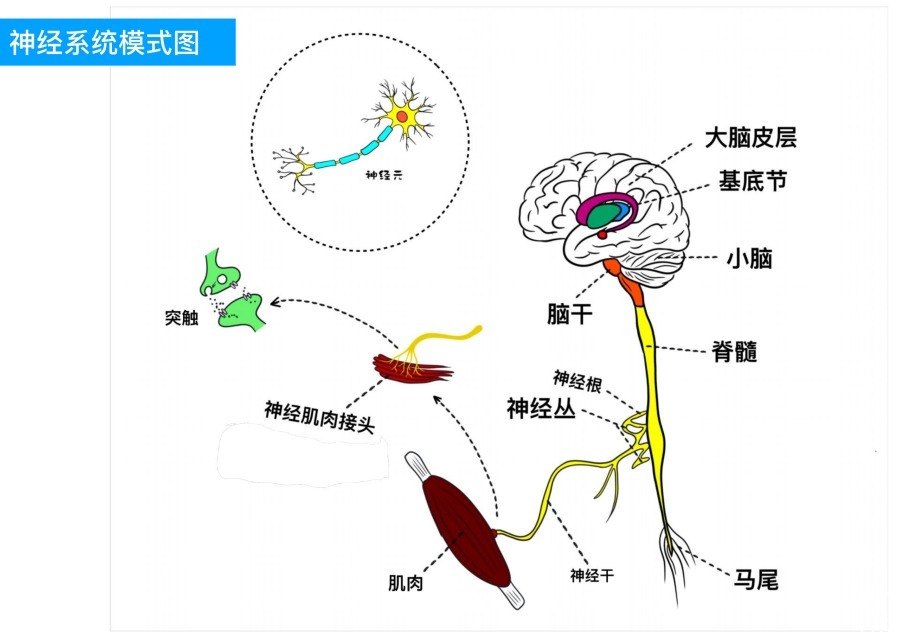 6cc70374bd78903ac160f7622c57d2fd.png