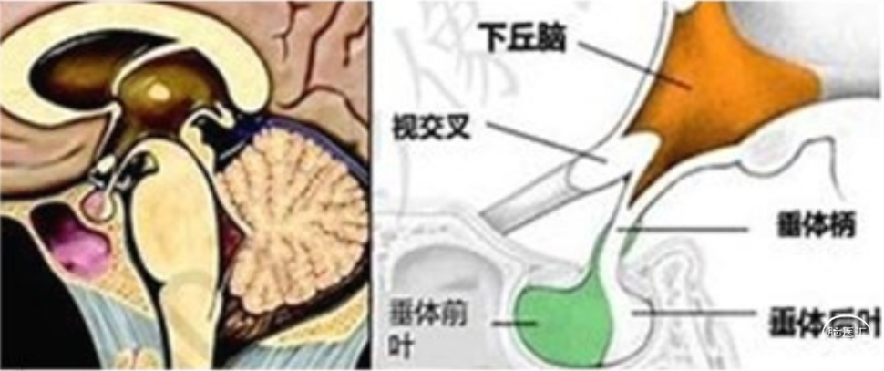 微信截图_20221020103002.png