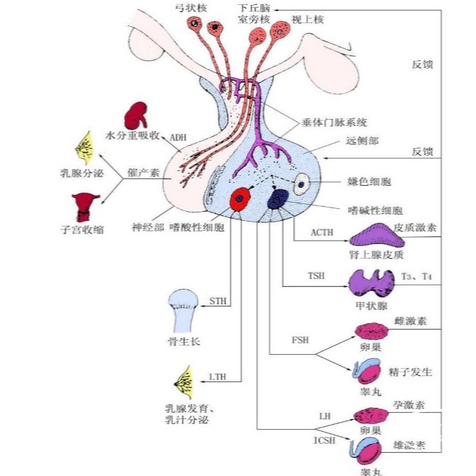 微信截图_20221020100319.png