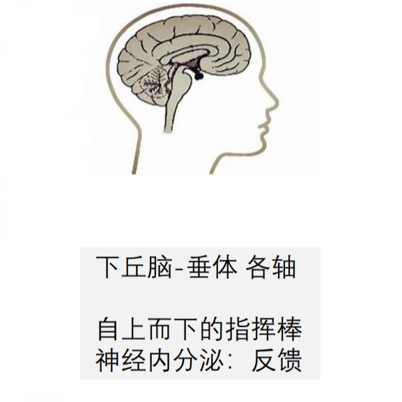 微信截图_20221020100341.png