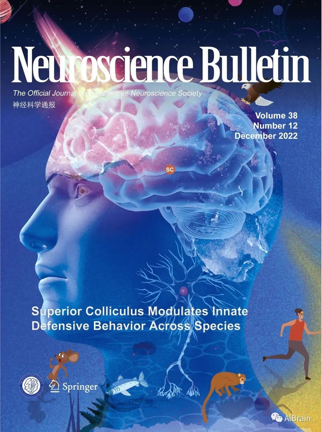 2022 Neuroscience Bulletin   A331d0bd6ffc6dc7372113ecd34f3d9a 