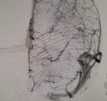 image38.GIF
