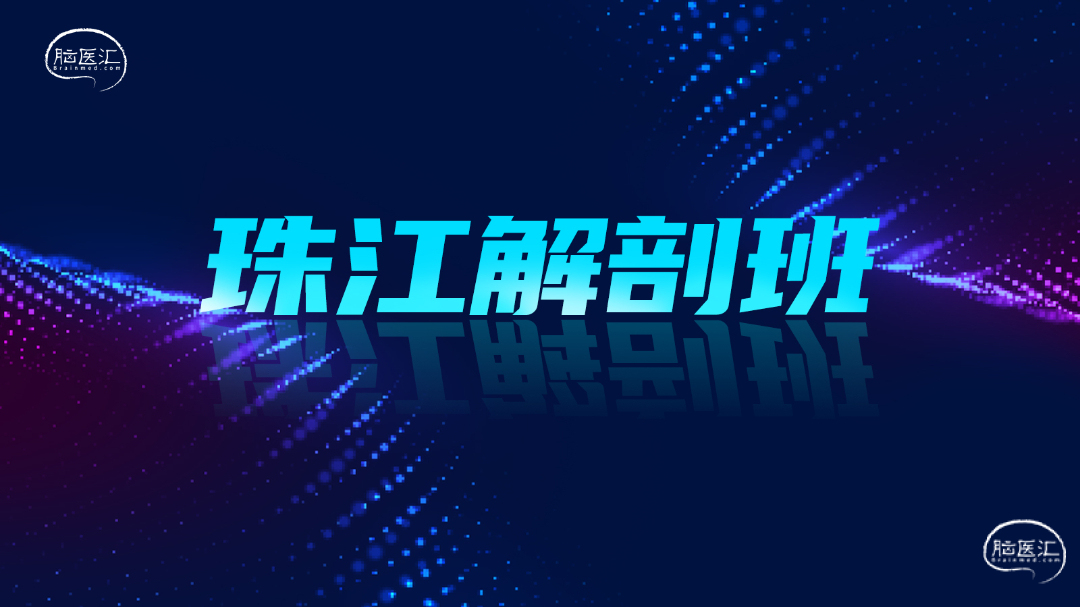 珠江解剖班.jpg