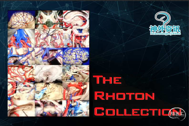 【课程合集】The Rhoton Collection系列解剖视频.png