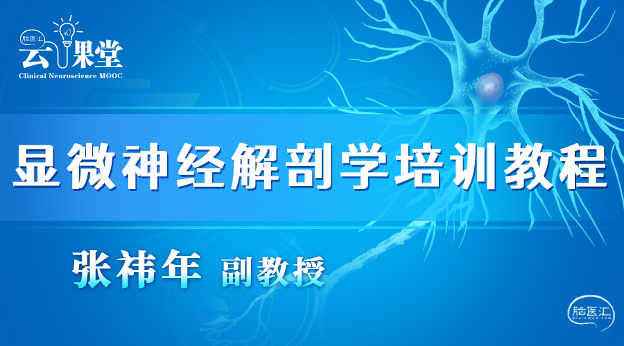 显微神经解剖学培训教程.jpg