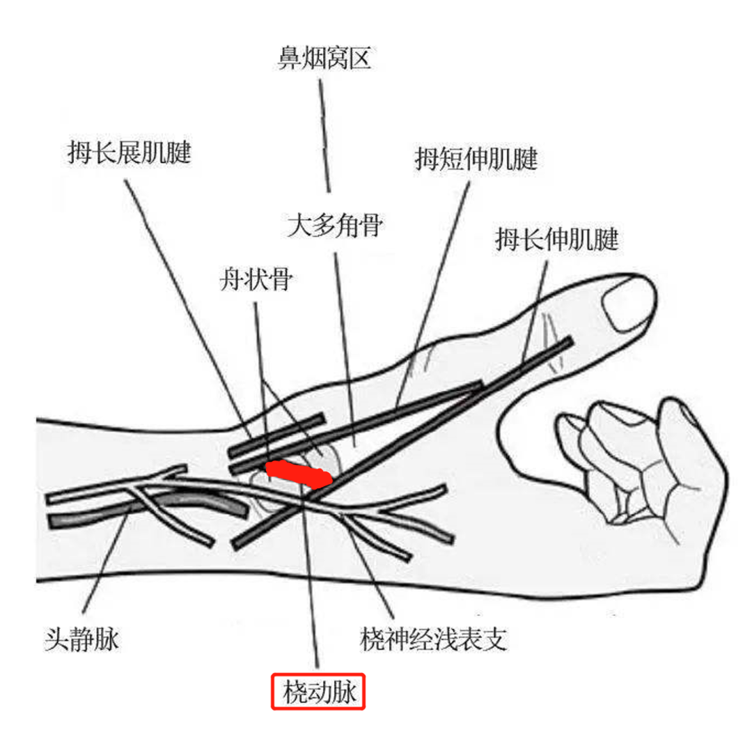 640 (11).png
