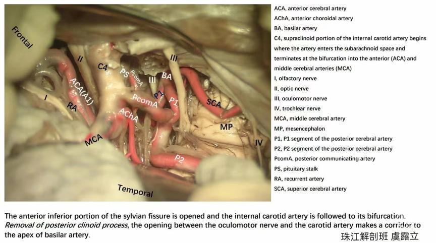 e035d122e3e6b6a5af7f7b31a4c45d5