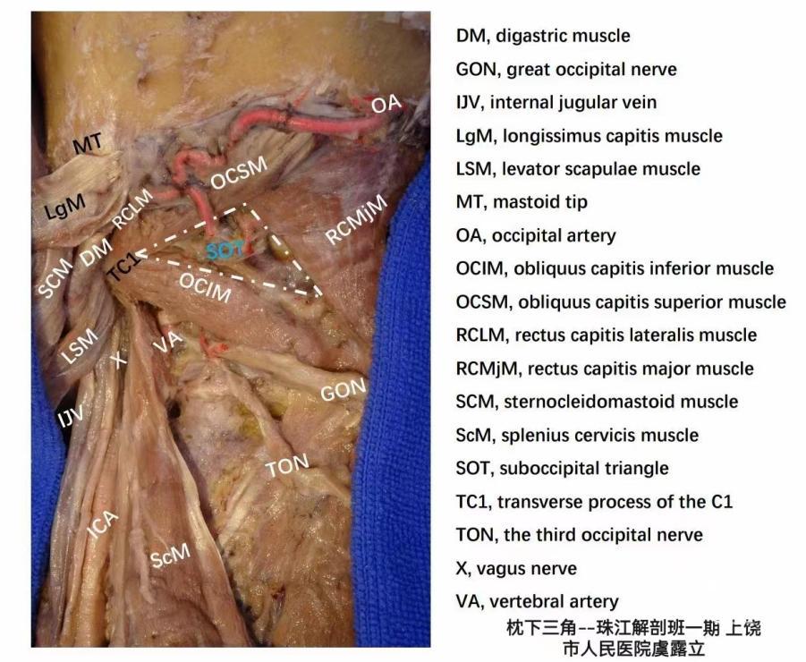 7b7530349d9d67f3181ff65aeda8c59