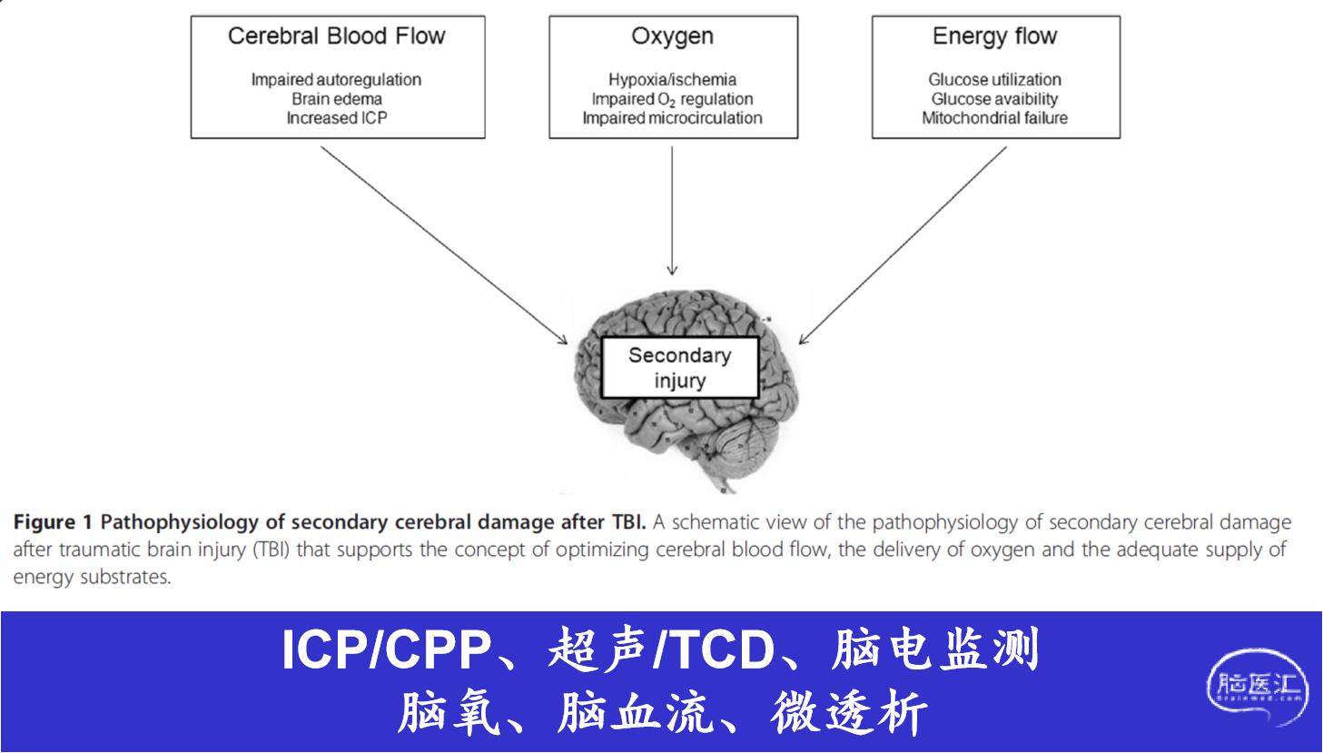 图片17.png