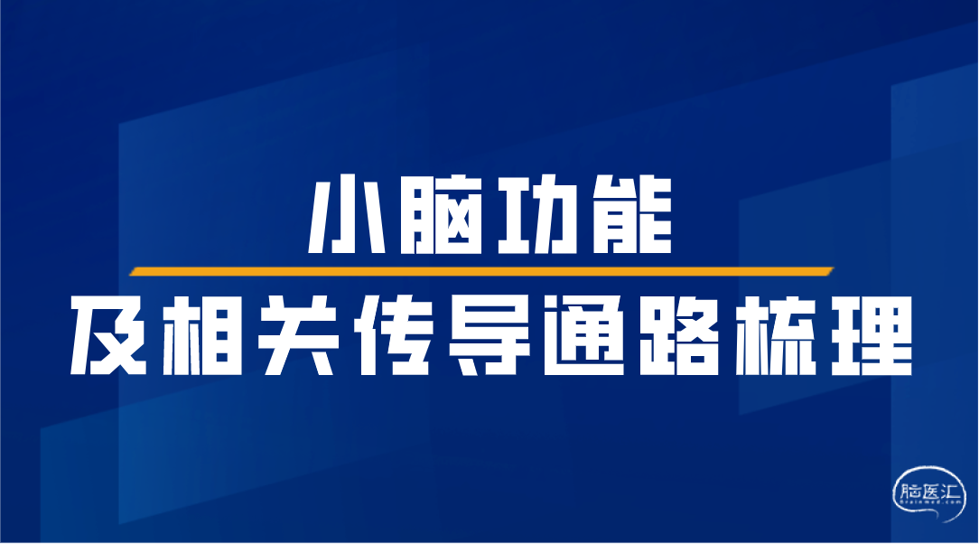 微信截图_20230413150239.png