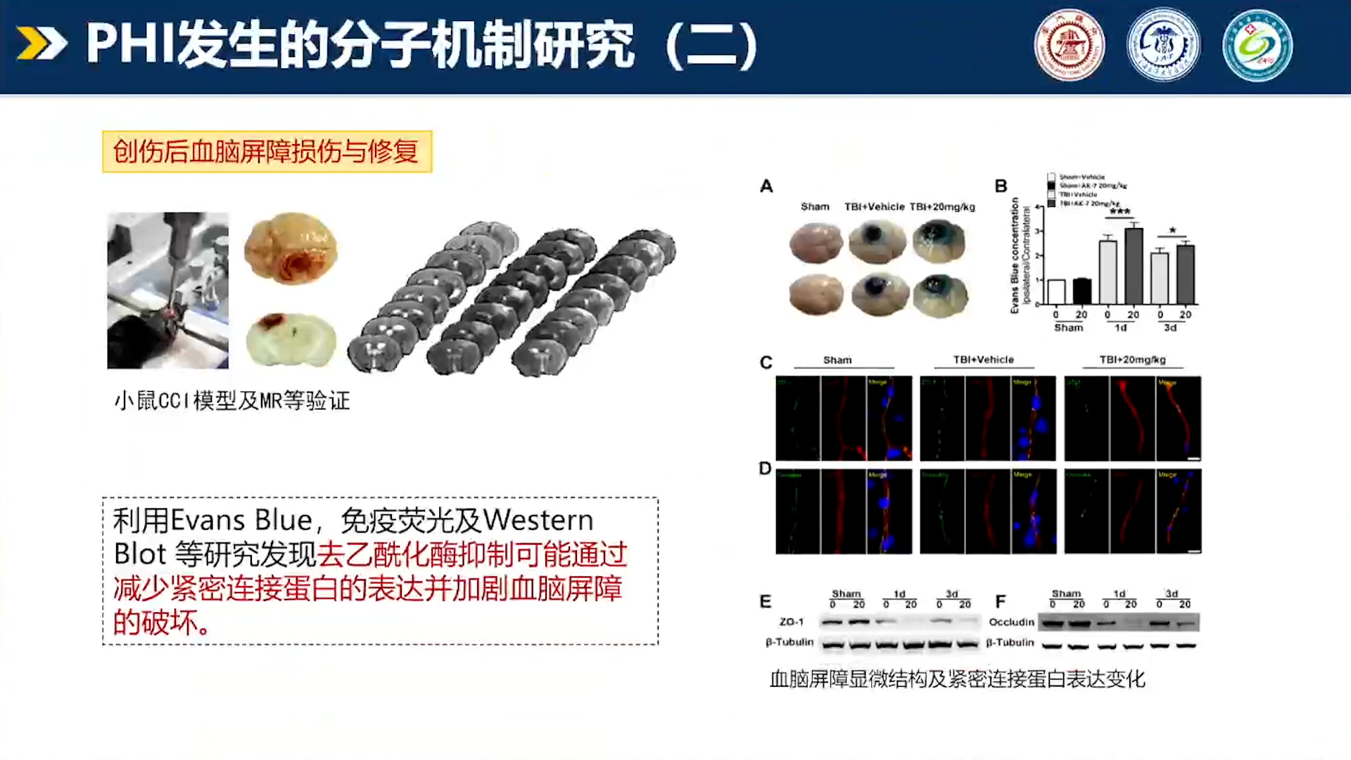 序列 015.jpg