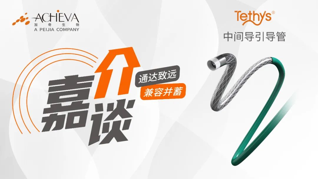 Tethys®中间导引导管联合Syphonet®取栓支架成功开通大脑中动脉闭塞一例