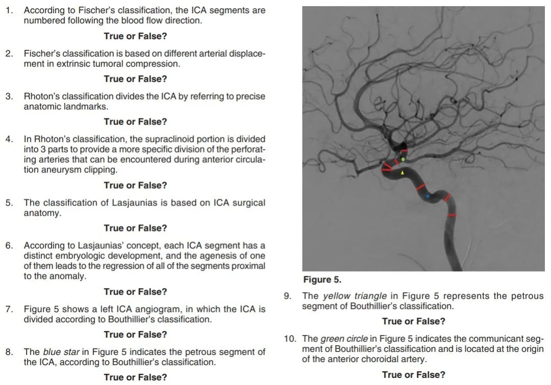 carotid artery图片