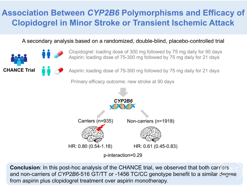CYP2B6 cyp2b6