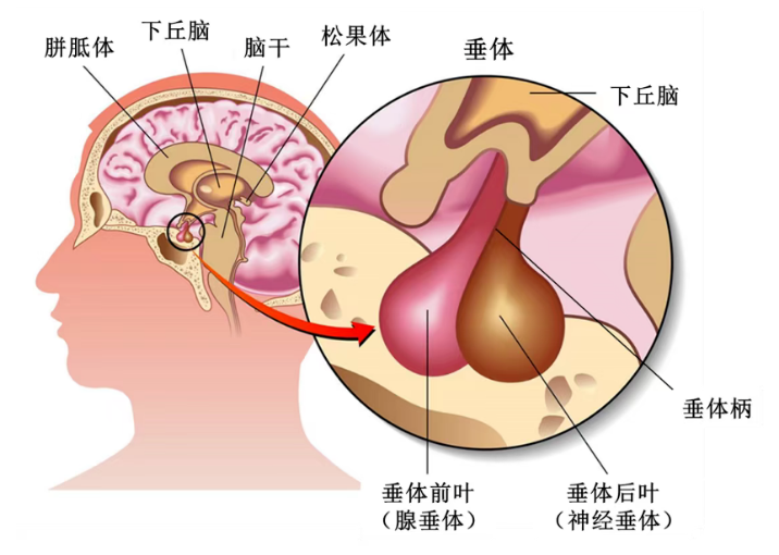 微信图片_20230703140048.png